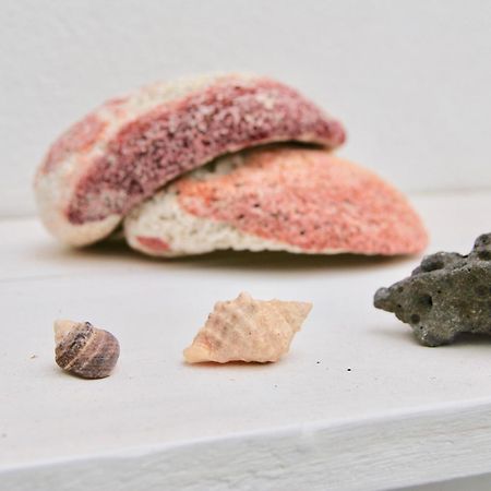 Casa Yerida Lejlighed Cotillo Eksteriør billede