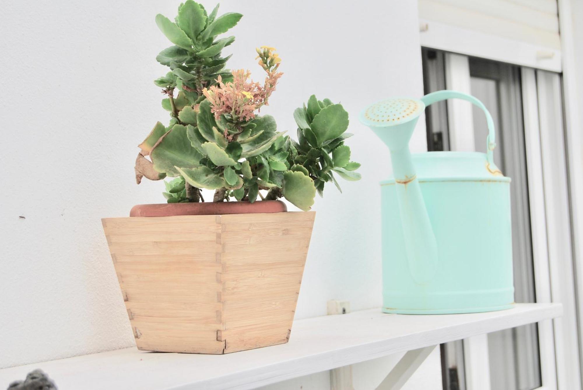Casa Yerida Lejlighed Cotillo Eksteriør billede
